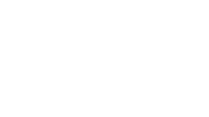 Mindfulness with Horses